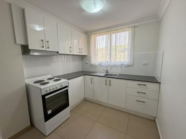 Unit For Lease - NSW - Cooma - 2630 - 17/237 Sharp Street, Cooma  (Image 2)