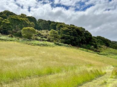 Residential Block For Sale - TAS - Weldborough - 7264 - Farmland with Water, Natural Bush, Great Views and Passive Income. 584 acres at Weldborough Pass.  (Image 2)