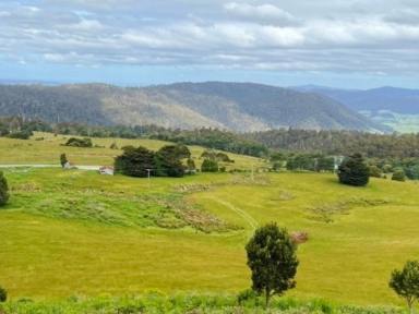 Residential Block For Sale - TAS - Weldborough - 7264 - Farmland with Water, Natural Bush, Great Views and Passive Income. 584 acres at Weldborough Pass.  (Image 2)