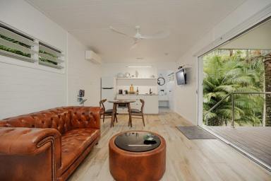 Business For Sale - QLD - Cape Tribulation - 4873 - Daintree Rainforest Luxe Eco Lodge For Sale  (Image 2)