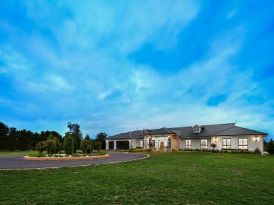 Livestock For Sale - NSW - Boxers Creek - 2580 - Turnkey Estate with Commercial Opportunities on Majestic Private Acreage. 'Waratah Park' - A Newly Built Rural Paradise.  (Image 2)