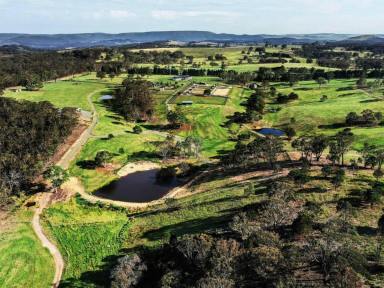 Livestock For Sale - NSW - Boxers Creek - 2580 - Turnkey Estate with Commercial Opportunities on Majestic Private Acreage. 'Waratah Park' - A Newly Built Rural Paradise.  (Image 2)