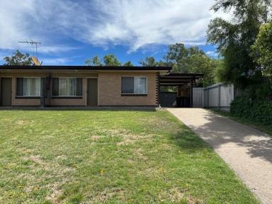 House For Lease - NSW - Moree - 2400 - Northside Unit  (Image 2)