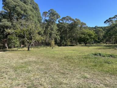 Residential Block For Sale - VIC - Mitta Mitta - 3701 - "The Walnuts" Own Your Little Patch of Paradise  (Image 2)