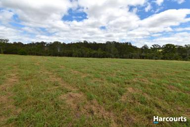 Residential Block For Sale - QLD - Apple Tree Creek - 4660 - 12.5 Acres - Excellent Location  (Image 2)