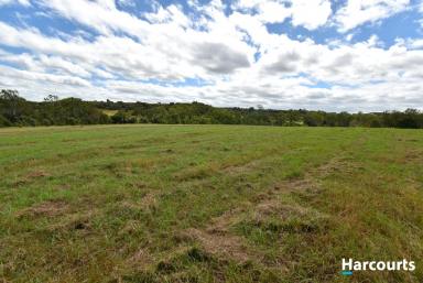 Residential Block For Sale - QLD - Apple Tree Creek - 4660 - 12.5 Acres - Excellent Location  (Image 2)