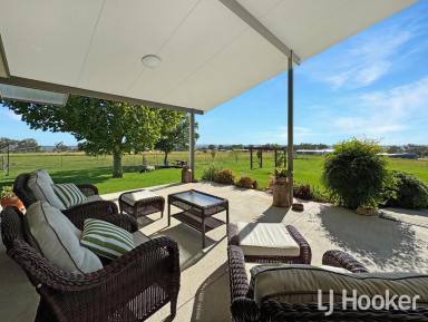 Acreage/Semi-rural For Sale - NSW - Inverell - 2360 - Impressive Rural Living: Renovated Home, Expansive Sheds, and Premium Horse Setup  (Image 2)