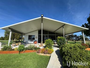 Acreage/Semi-rural For Sale - NSW - Inverell - 2360 - Impressive Rural Living: Renovated Home, Expansive Sheds, and Premium Horse Setup  (Image 2)