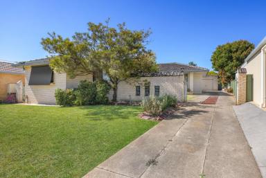 House For Lease - NSW - Tamworth - 2340 - THREE BEDROOM HOME IN SOUTH TAMWORTH  (Image 2)