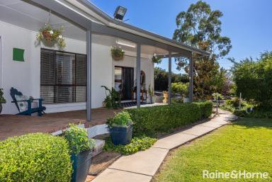 House For Sale - NSW - Boorooma - 2650 - Where Convenience Meets Tranquility  (Image 2)