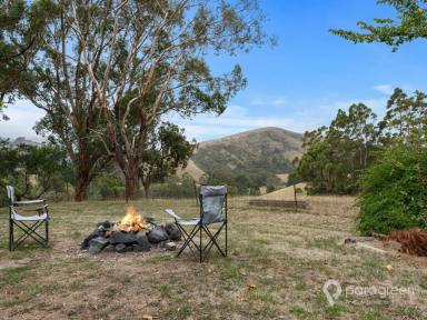 House For Sale - VIC - Foster - 3960 - RURAL OUTLOOK CLOSE TO TOWN  (Image 2)