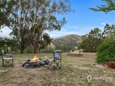 House For Sale - VIC - Foster - 3960 - RURAL OUTLOOK CLOSE TO TOWN (Image 2)