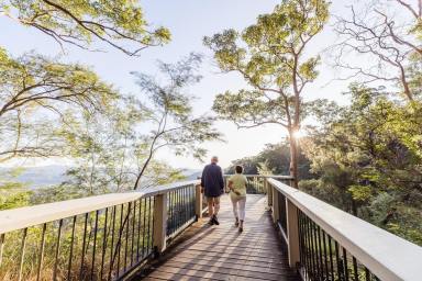 Business For Sale - QLD - Nambour - 4560 - Sunshine Coast Tour & Charter Business Three Brands, One Opportunity  (Image 2)