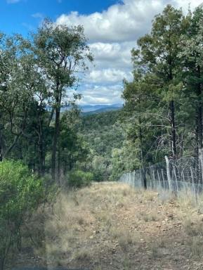Lifestyle For Sale - NSW - Mole River - 2372 - Large Tenterfield rural block (Image 2)