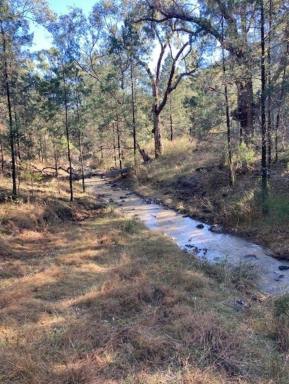 Lifestyle Sold - NSW - Mole River - 2372 - Large Tenterfield rural block  (Image 2)
