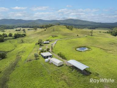 Acreage/Semi-rural For Sale - NSW - Bulahdelah - 2423 - Productive Cattle Country  (Image 2)