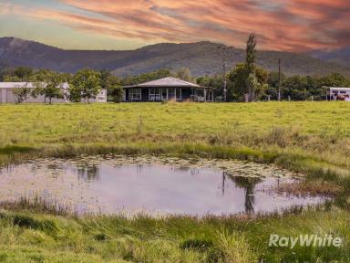 Acreage/Semi-rural For Sale - NSW - Bulahdelah - 2423 - Productive Cattle Country  (Image 2)