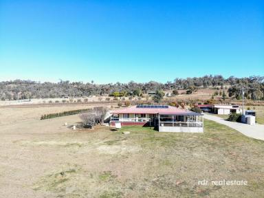 Lifestyle For Sale - NSW - Warialda - 2402 - MOUNTAIN VIEW  (Image 2)