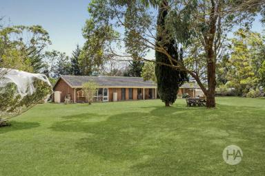 Acreage/Semi-rural For Sale - VIC - Baxter - 3911 - Country Serenity A Stone’s Throw From Shops & Restaurants  (Image 2)