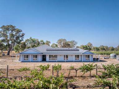 Lifestyle For Sale - SA - Penola - 5277 - Spectacular Family Living Surrounded by Gums and Vines  (Image 2)