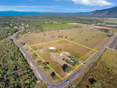 Acreage/Semi-rural For Sale - QLD - Balgal Beach - 4816 - Lifestyle Acreage with Endless Potential  (Image 2)