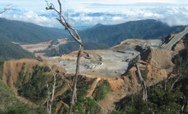 Business For Sale - QLD - Brisbane - 4000 - Multi-Service Industrial Contractor in Papua New Guinea (Image 2)