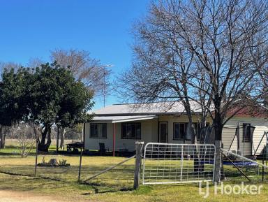 Acreage/Semi-rural For Lease - NSW - Inverell - 2360 - Family Home with Acreage!  (Image 2)