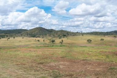 Residential Block For Sale - QLD - Rockyview - 4701 - Paramount Park – Spacious Acreage Living Just Minutes from Rockhampton!  (Image 2)