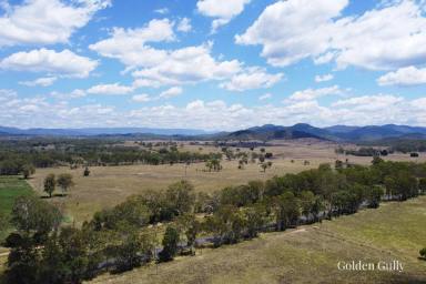 Other (Rural) For Sale - QLD - Boyne Valley - 4680 - "Golden Gully"  (Image 2)