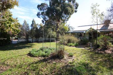 House For Sale - VIC - Rochester - 3561 - SPACIOUS FAMILY HOME ON 2 TITLES  (Image 2)