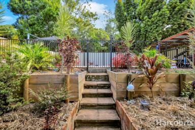House For Sale - QLD - Urraween - 4655 - Spacious 2000m2 Elevated Block  (Image 2)