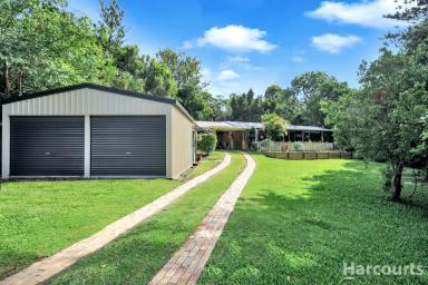 House For Sale - QLD - Urraween - 4655 - Spacious 2000m2 Elevated Block  (Image 2)