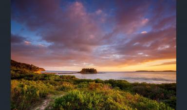 Unit For Sale - NSW - Tomakin - 2537 - Dog Friendly Holiday Cabin for Sale.  Stroll across the dunes to the Beach!  (Image 2)