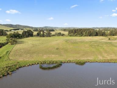 Lifestyle Auction - NSW - Anambah - 2320 - Riverside Lifestyle & Endless Possibilities in the Hunter Valley  (Image 2)