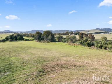 Lifestyle Auction - NSW - Anambah - 2320 - Riverside Lifestyle & Endless Possibilities in the Hunter Valley  (Image 2)