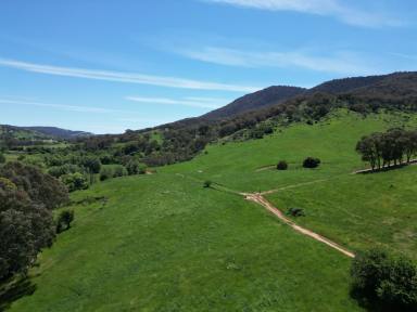 Mixed Farming Auction - VIC - Georges Creek - 3700 - Georges Creek Country  (Image 2)