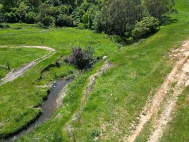 Mixed Farming Auction - VIC - Georges Creek - 3700 - Georges Creek Country  (Image 2)