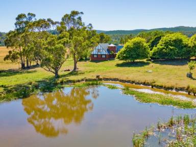Acreage/Semi-rural For Sale - TAS - Pipers River - 7252 - 215 acre farm, on 4 titles. Plenty of water, 4 br brick house and sheds galore. 35 minutes to City.  (Image 2)