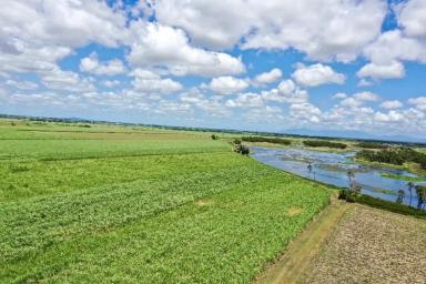 Other (Rural) Sold - QLD - Airdmillan - 4807 - Sugar Cane / Grazing Property with Open Water - Machinery  (Image 2)