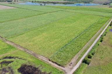 Other (Rural) Sold - QLD - Airdmillan - 4807 - Sugar Cane / Grazing Property with Open Water - Machinery  (Image 2)