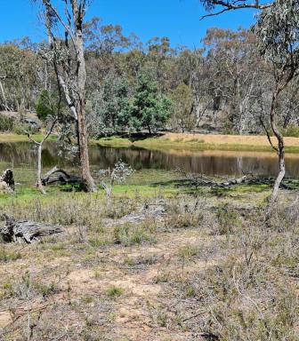 Lifestyle For Sale - NSW - Merriangaah - 2632 - An Oasis of Tranquillity  (Image 2)