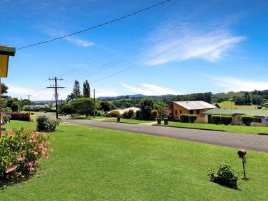 House For Sale - QLD - Yungaburra - 4884 - Stylish and Spacious 3 Bedroom Family Home in Yungaburra  (Image 2)