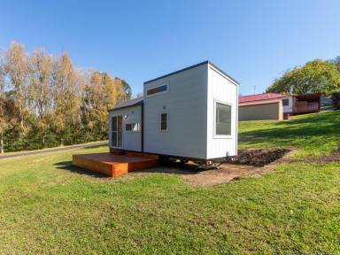 House For Sale - NSW - Candelo - 2550 - VACANT BLOCK WITH BRAND NEW TINY HOME  (Image 2)