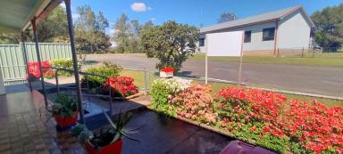 House For Sale - NSW - Gloucester - 2422 - Charming Cottage with Bucketts Mountain Hills view.  (Image 2)
