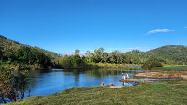 Lifestyle For Sale - NSW - Mount George - 2424 - Rare Riverfront Estate – Subdivide, Build, Profit, Enjoy  (Image 2)