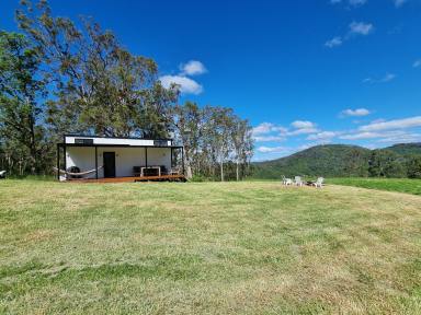 Lifestyle For Sale - NSW - Mount George - 2424 - Manning River Estate - 93.93 Hectares of Natural Beauty and Endless Possibilities  (Image 2)