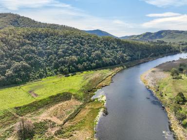 Lifestyle For Sale - NSW - Mount George - 2424 - MANNING RIVER GRANDEUR
93.93 Hectares of Freedom, Privacy & Endless Possibility  (Image 2)