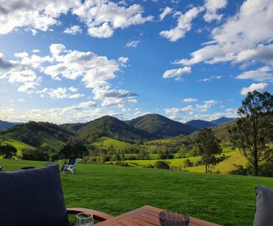 Lifestyle For Sale - NSW - Mount George - 2424 - Manning River Estate - 93.93 Hectares of Natural Beauty and Endless Possibilities  (Image 2)