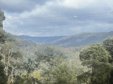 Residential Block Sold - TAS - Calder - 7325 - Tarkine Treasure  (Image 2)