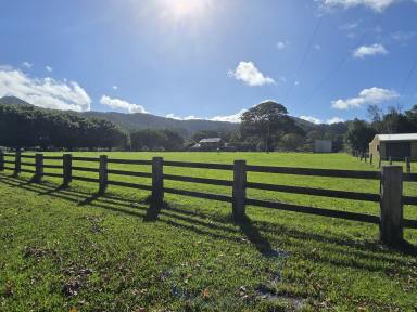 House For Sale - NSW - Bonville - 2450 - POTENTIAL PLUS - "The BEST Level 5 Acres In BONVILLE"  (Image 2)